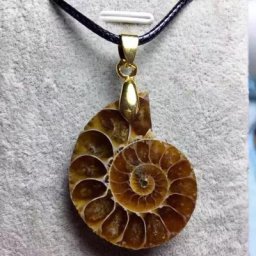Pendentif en pierre d'ammoniac naturelle de 30mm collier porte-bonheur pour femmes et hommes
