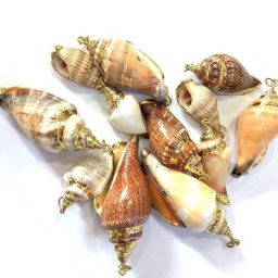 Coquille Naturelle à Trou Droit Faite à la Main pour Bricolage Collier Bracelets Boucles