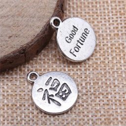 WYSIWYG 5 pièces 18x15mm pendentif bonne Fortune chinois bonne chance Fu pendentifs breloque pour la