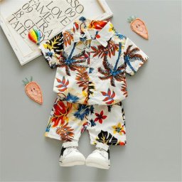 Vêtements d'été pour bébés garçons de 0 à 5 ans ensemble 2 pièces chemise à manches courtes +