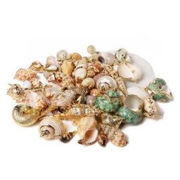 Boucles d'Oreilles à Breloques en Forme de Coquillage pour Travaux Manuels Accessoire de