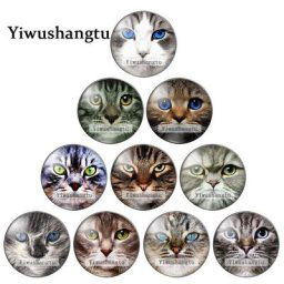 Cabochon rond en verre avec photo de visage de chat démo dos plat résultats exécutifs jolis
