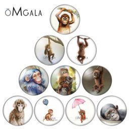 Cabochon rond en verre avec photo de bébé singe beaux motifs artistiques résultats exécutifs à dos