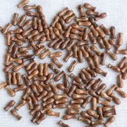Perles en bois naturel pour bricolage perles en vrac fabrication de bijoux petit vase artisanat