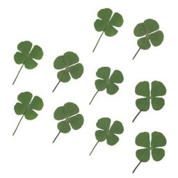 4x be 10 pièces/ensemble trèfle à feuilles séchées UV résine décorations Nail Art époxy