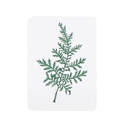Mélange de feuilles de fleurs pressées 41XC remplisseurs d'échantillons de plantes pour la