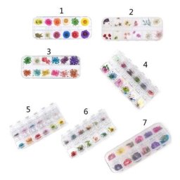 Fleurs séchées colorées pour moules à bijoux en résine artisanat de bricolage 12 grilles par boîte