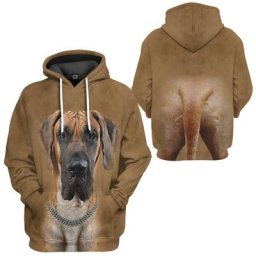 Sweats à capuche animaux HX pour hommes pulls PVD College avant et arrière streetwear Harajuku