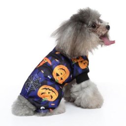 Combinaison d'halloween pour chien imprimé citrouille chauve-souris chemise pyjama pour animaux de