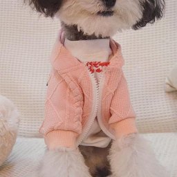 Pull à capuche pour animaux de compagnie vêtement à Texture géométrique adapté à la peau des