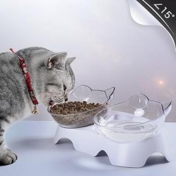 Chat pour animaux de compagnie Bol À double usage Bols Transparents Protéger Vertèbre Cervicale