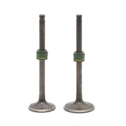 Ensemble de soupapes d'admission et d'échappement 2 pièces pour Suzuki GN125 GZ125 GS125 DR125