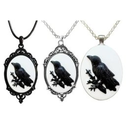 Collier pendentif corbeau noir gothique pour femmes et filles corbeau d'oiseau noir photo bijoux