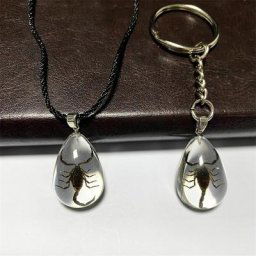 Collier pendentif en résine classique pour hommes et femmes ambre taxidermie de scorpion