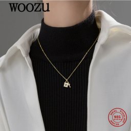 WOOZU-Pendentif en Argent Sterling 925 group pour Femme Colliers Minimalistes de Luxe avec Petite