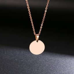DOTIFI-Collier Rond en Acier Inoxydable pour Femme Pendentif Élégant Clavicule Rose Bijoux de