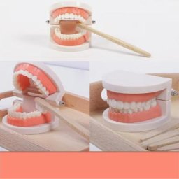 Kit de dentiste réaliste jouet d'apprentissage avec moule et brosse à dents interactif et