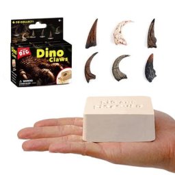 Kit de creusement de patte de dinosaure pour enfants jouets de bricolage modèle d'assemblage