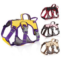 Sangles de sécurité réglables pour chiens SFP Casting Dog SFP GlaAdjustable Chiens moyens et