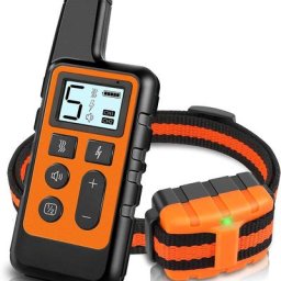 Collier Électrique d'Entraînement pour Chien Étanche avec Télécommande Rechargeable avec Son de