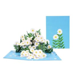 Carte de vministériels x 3D avec enveloppe pour femme carte de vministériels x à fleurs pour cadeau