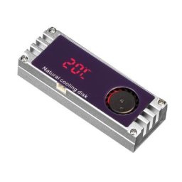 . 2 SSD NVMe dissipateur de chaleur M2 2280 22110 disque dur en aluminium dissipateur de chaleur