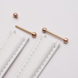 Vis de fixation pour Bracelet de montre 2 pièces tiges de Tube à Friction goupille de fixation