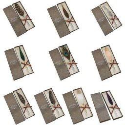Stylo à bille en forme de plume 0.7mm pour écriture fournitures scolaires et de bureau livraison