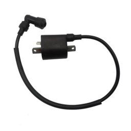 Bobine d'allumage et fil pour Façades UTV Convient pour Linhai 260 300 400 500 520 550 22012