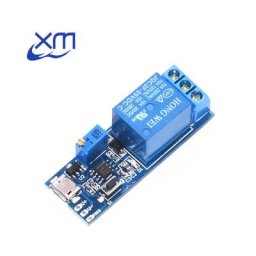 Module de minuterie de relais de retard D79 5V -30V outil électrique Micro USB 1 pièce