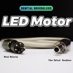 Moteur électrique de rechange pour dentiste SPTA pièce à main pour clinique micromoteur sans