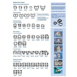 Pinces dentaires fantaisistes en caoutchouc B1 B2 v1.B4 B5 dieux pinces Brinker pour ancres