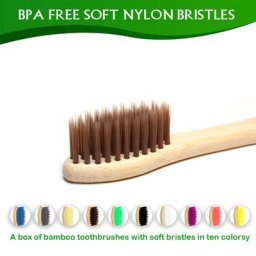 Brosse à Dents en Bambou à Poils Souples Brosses Bionickel ables en Charbon de Bambou Naturel