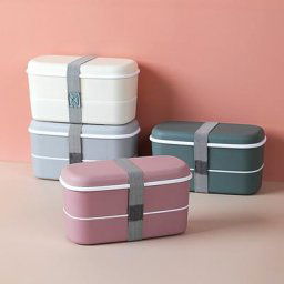 Boîte à déjeuner à Double niveau pour micro-ondes Bento Portable en plastique pour aliments et riz