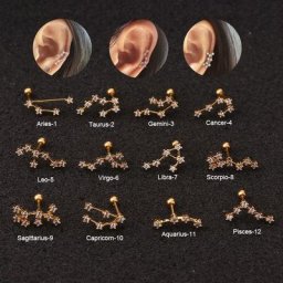 Boucles d'Oreilles Douze Constellations pour Femme Piercing Coréen Bijoux à la Mode 2021 1 Pièce