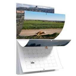 Calendrier mural lisse pour faire caca de chien pooches drôles beaux endroits amis famille