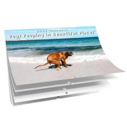 Calendrier mural brillant pour faire caca de chien cadeau amusant et beau pour les amis 2023