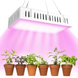 1500W Full Spectrum Plant Light with Ultra-quiet Dual Fan for Garden