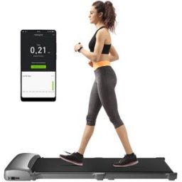 Xiaomi WalkingPad C1 Fitness Walking Machine Gray