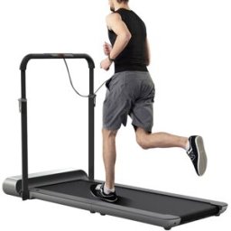 WalkingPad R1 2 in 1 Smart Folding Treadmill Silver