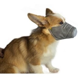 3PCS SEETOYS Dog Protective Masks Size M Grey