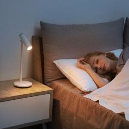 Baseus i-wok Series Chargeable Office Reading LED Table Lamp White