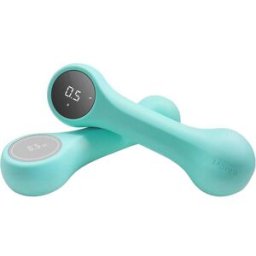 2pcs Move It Beat Smart Dumbbell 0.5KG Cyan