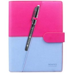 NEWYES Reusable Smart Notebook Pink Blue