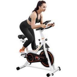 UREVO Indoor Cycling Bike Stationary Exercise Fitness Spinning Bike