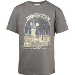 Lego T-shirt Harry Potter - Gris