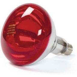 Ampoule infrarouge de rechange pour lampe chauffante