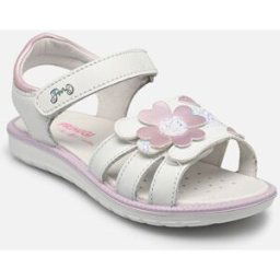 PAL 38841 par Primigi Blanc 25 Enfant