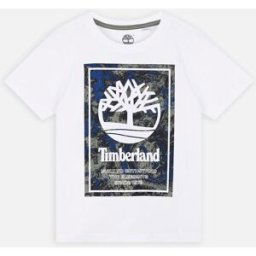 T25T79 par Timberland Blanc 10A Accessoires