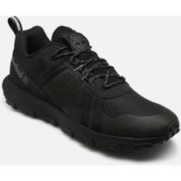 Winsor TrailLOW LACE SNEAKER par Timberland Noir 41 Homme
